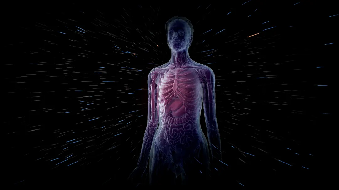 Space Radiation Triggers a Biological Cascade That Leads to Cancer