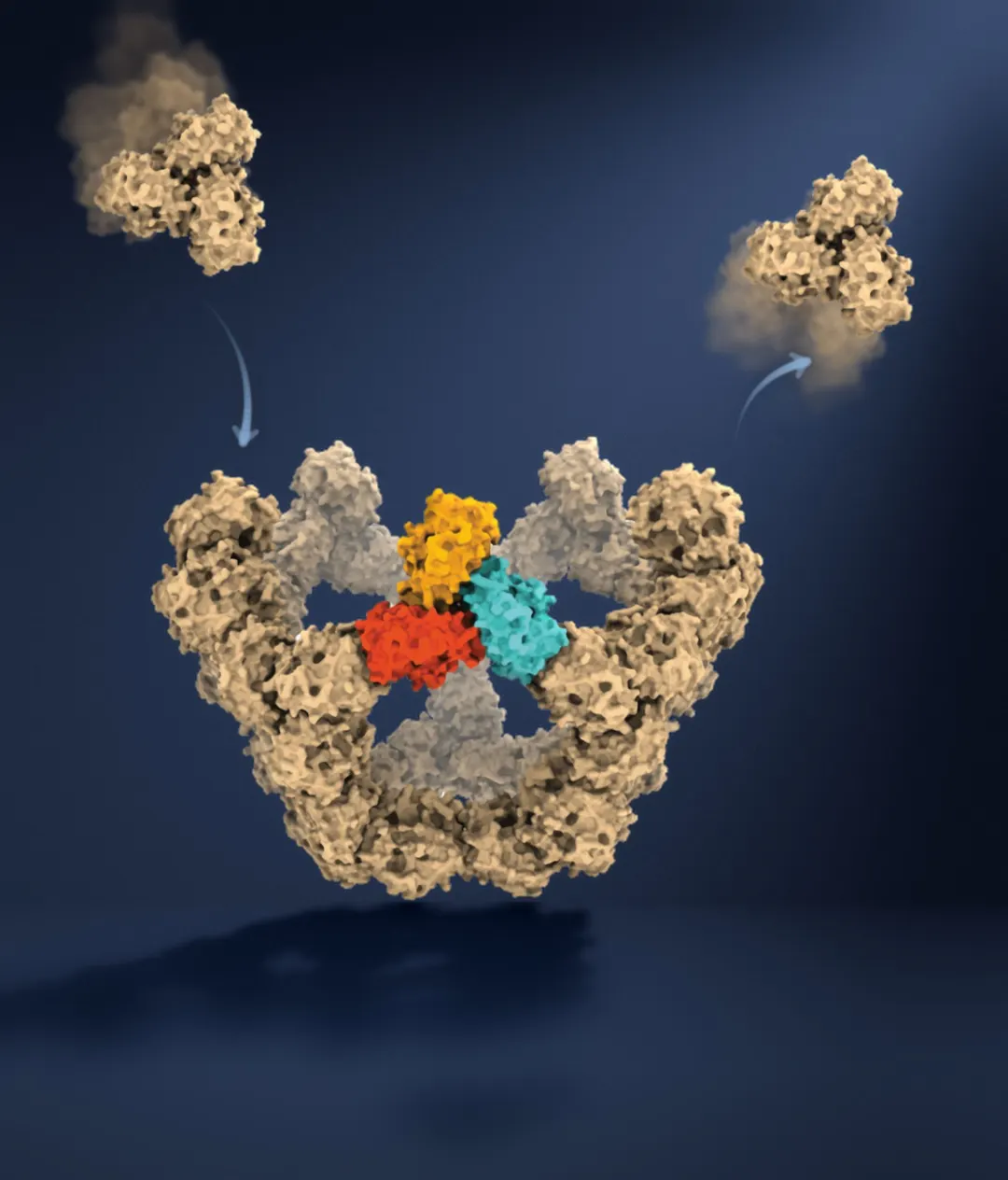 Oxford Scientists Watch Virus-Like Particle Assemble Molecule by Molecule