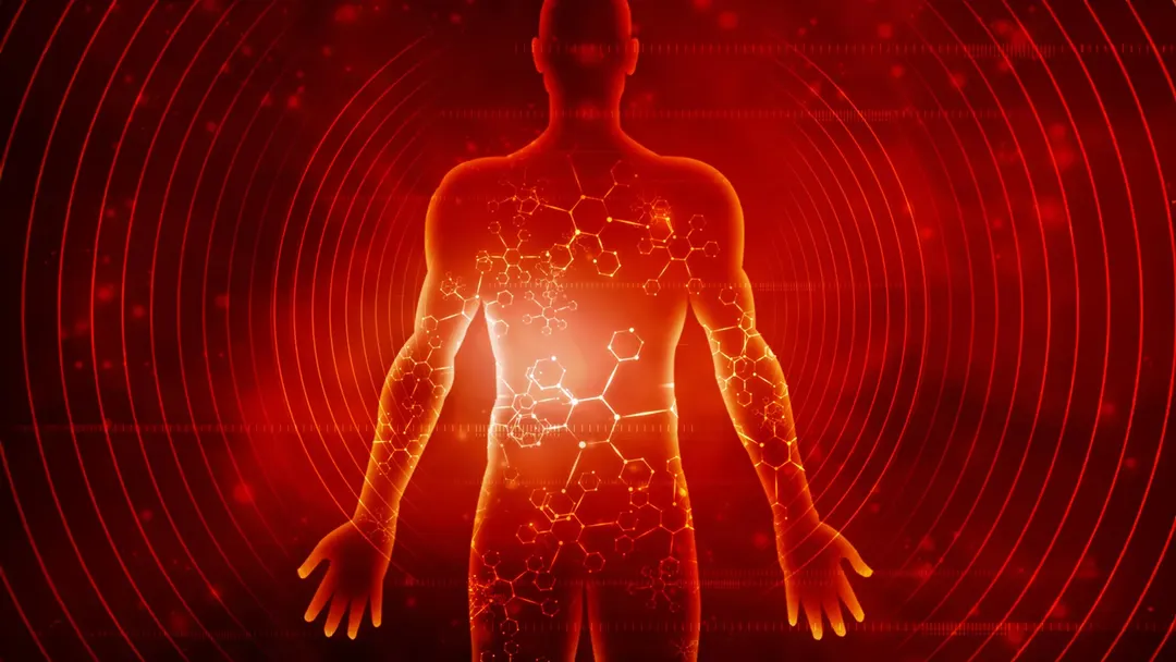 Seven-day fast alters about 3,000 proteins across the body, study finds