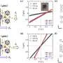 Atomic motion could push solar cells beyond conventional limits