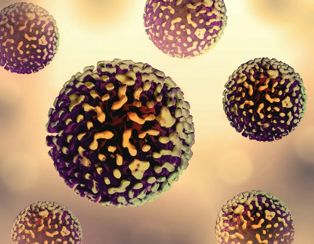 Epigenetic therapy suppresses hepatitis B in mice for six months