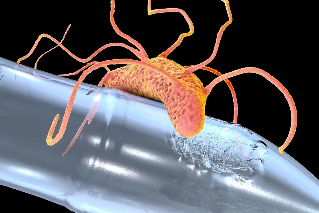 Scientists find "Pac-Man enzyme" that digests plastic and penicillin