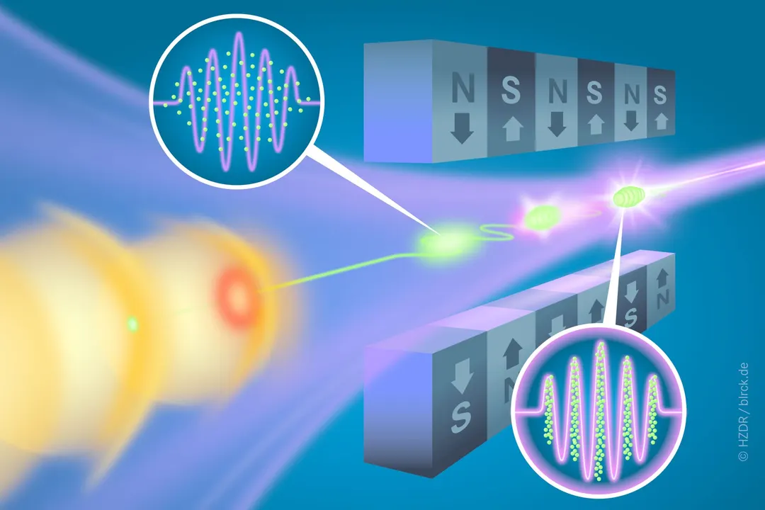 Laser-Plasma Free-Electron Laser Achieves Stable High-Gain Operation