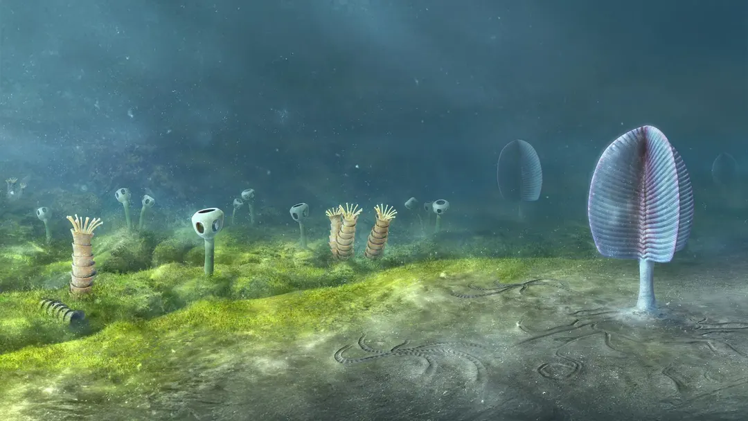 Animals may have evolved 200 million years earlier than thought