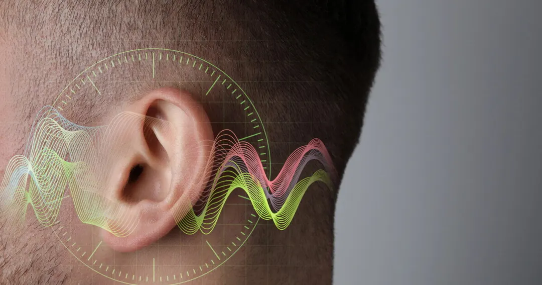 Tinnitus biomarker may be found in blood protein prestin