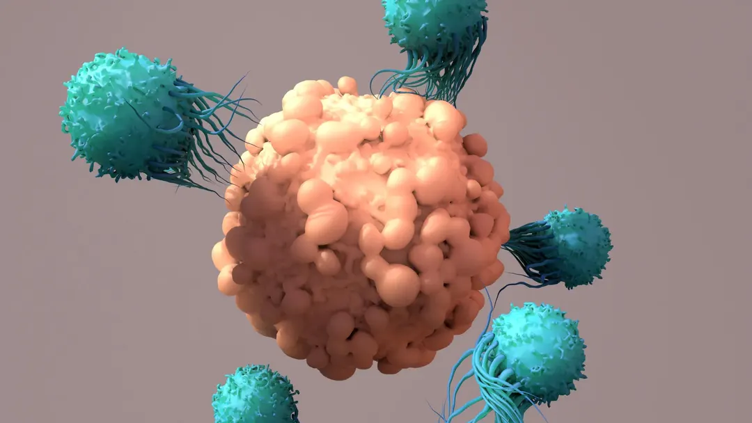 CRISPR reprograms immune cells inside the body to fight cancer
