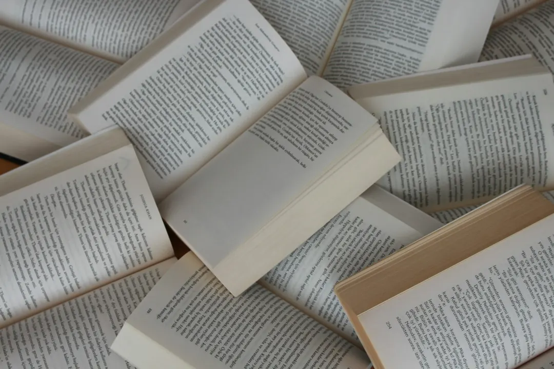UK urged to demand transparency from AI firms destroying books for training data