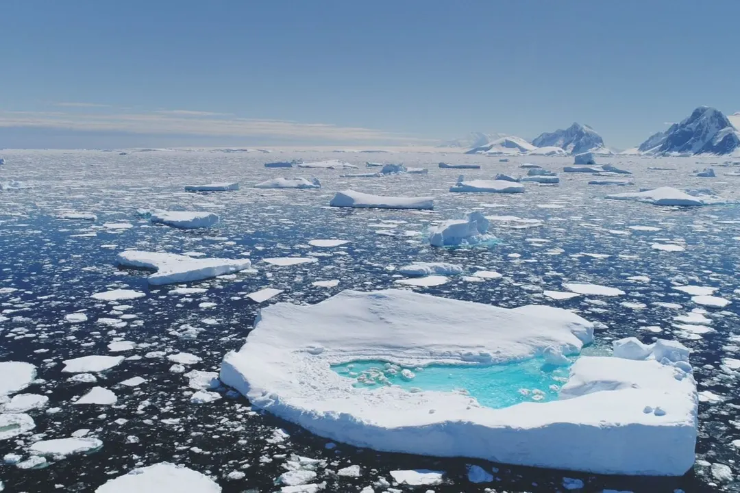 Scientists Explain Massive Antarctic Polynya That Opened in August 2024