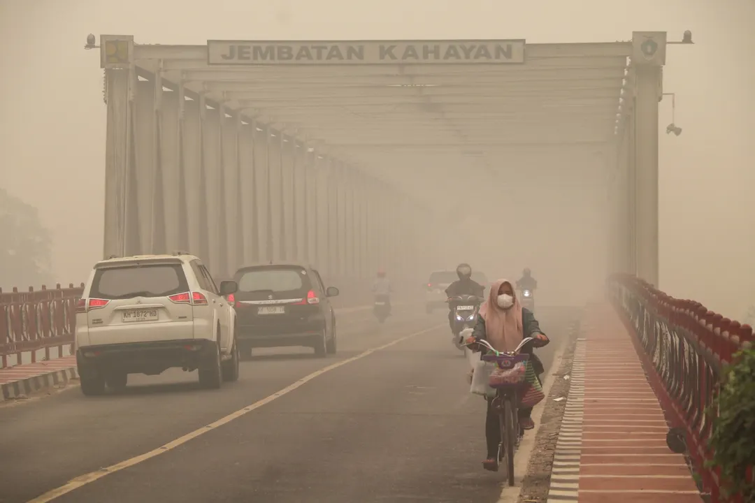 Water Table Collapse Drives Indonesia's Peatland Fires, Researchers Warn