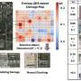 New AI method estimates disaster damage from incomplete satellite imagery