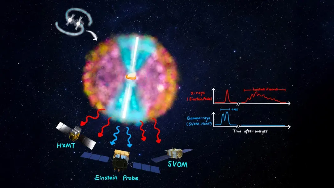Einstein Probe reveals hidden phase of neutron star collisions