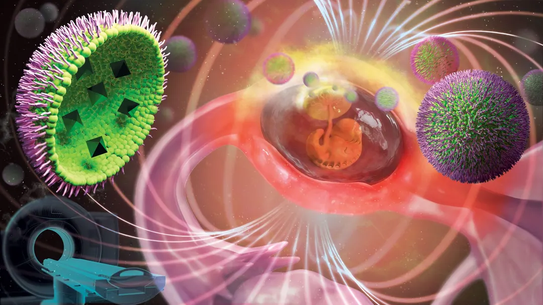 Magnetic Nanoparticles Could Detect and Treat Ectopic Pregnancies