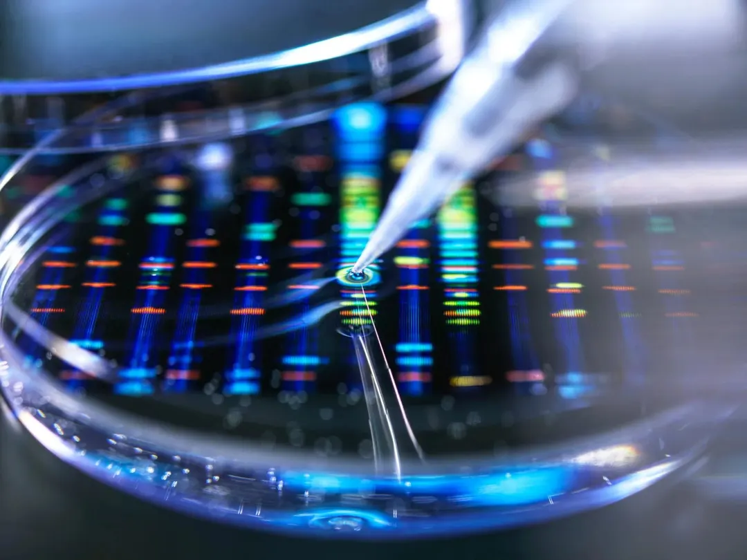 Scientists Built a DNA Computer That Runs Without Electricity