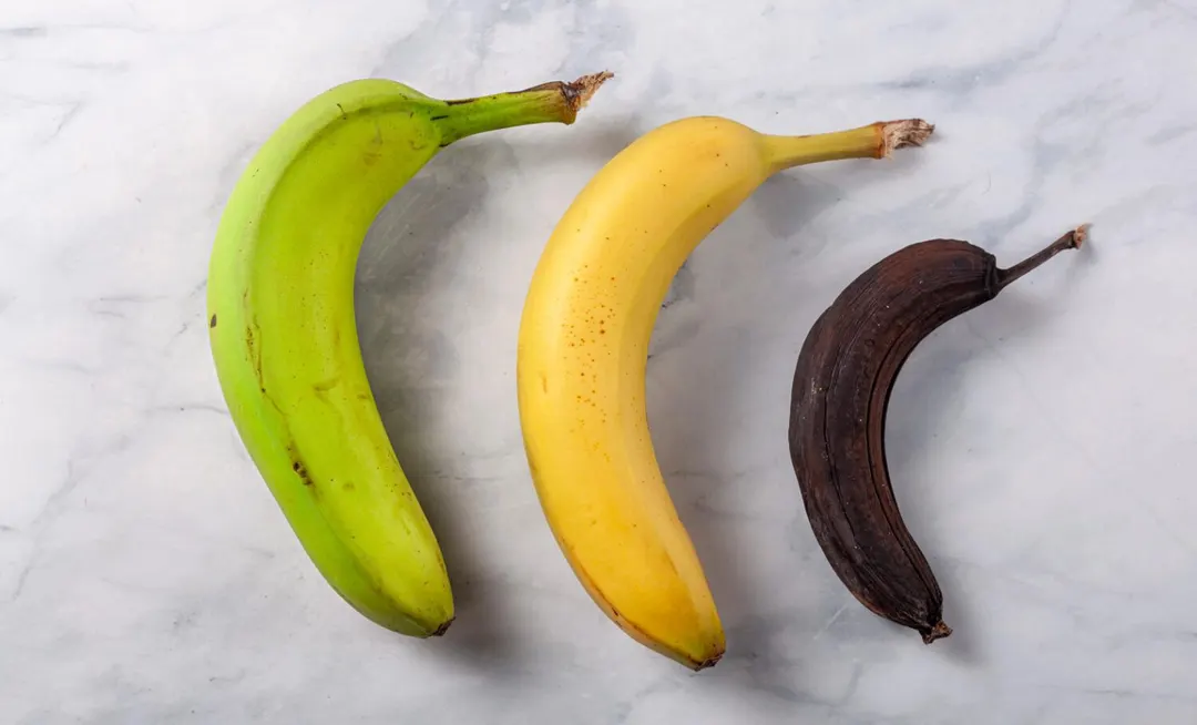 CRISPR-edited banana clears first UK precision-breeding hurdle