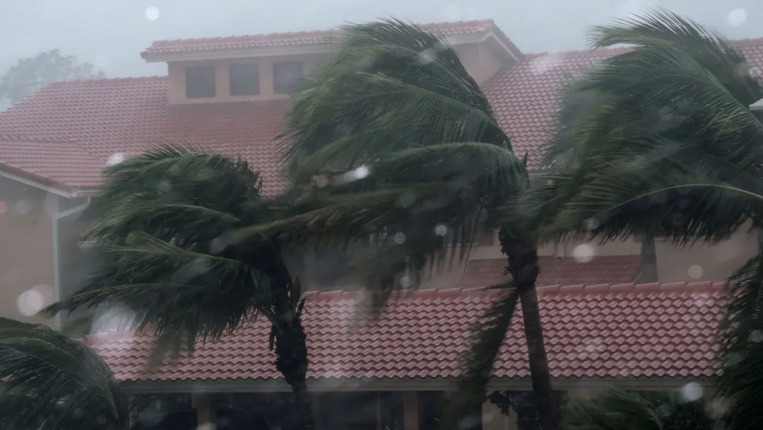 Wavy walls and roofs cut wind pressure by up to 60%