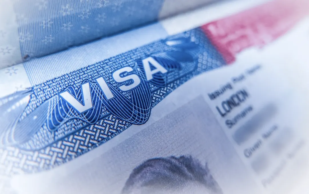 ICE scraps VSPTS recompete, moves visa vetting to Palantir Foundry