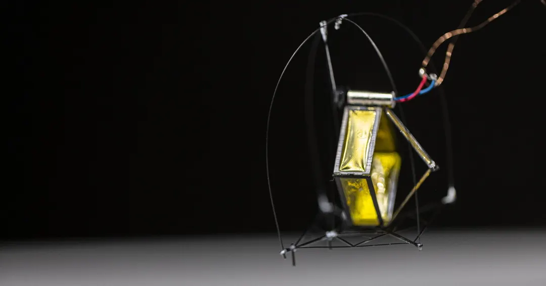 DirectHop: 1-gram hopping robot inspired by fleas