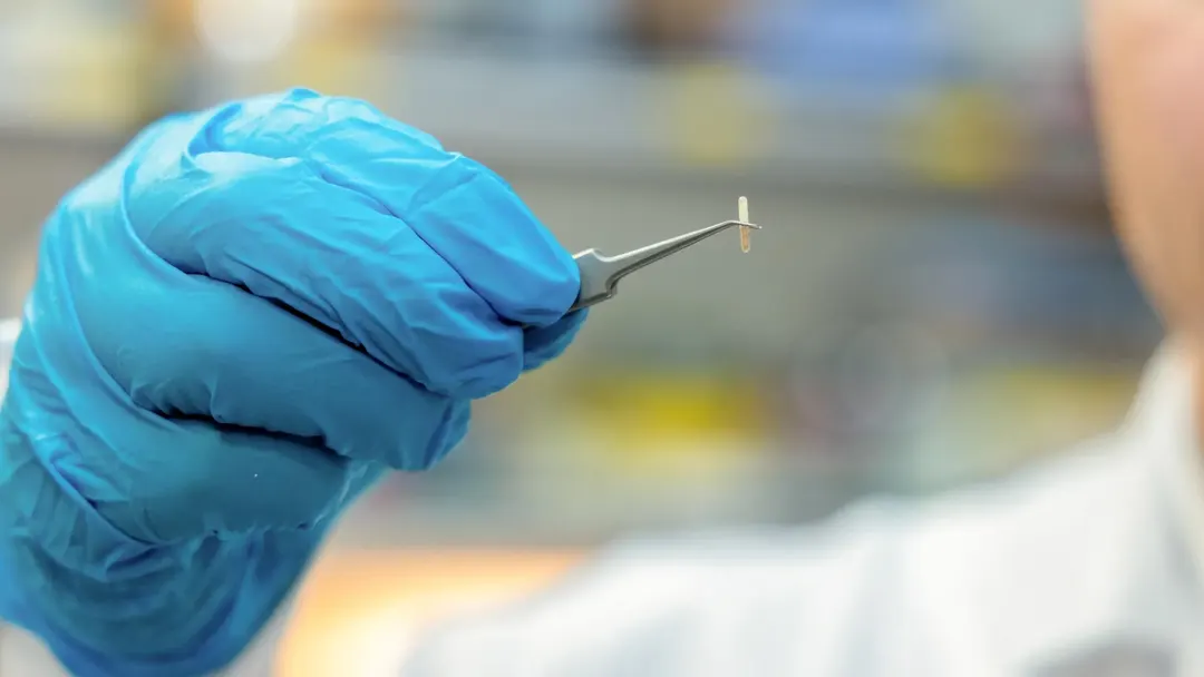 Scientists create seed-sized injectable implant to stimulate nerves