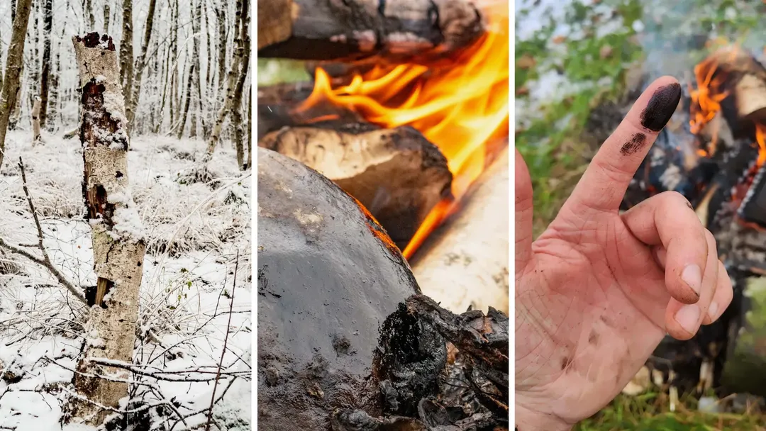 Neanderthal birch tar found to have antibacterial properties