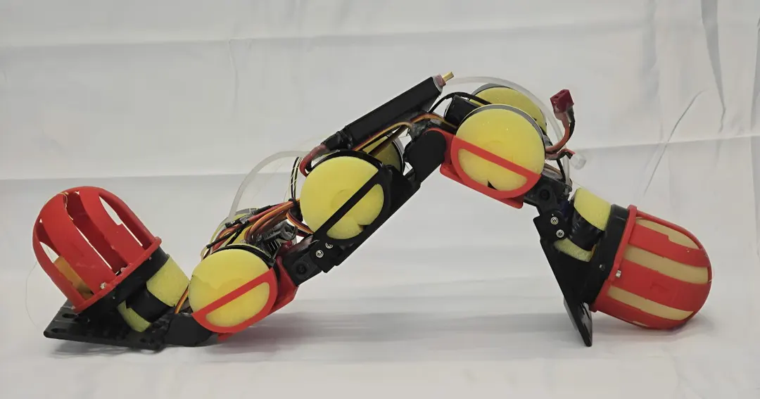 WorMa robot worm shifts water ballast to climb coastal terrain