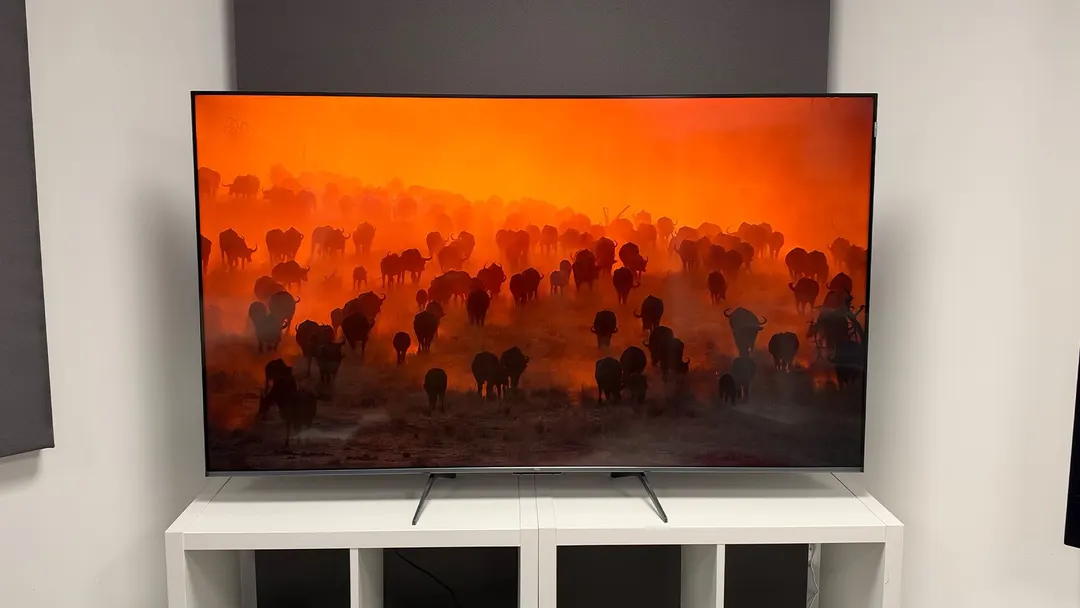 TCL P8L review: 65-inch Mini LED 4K/144Hz TV at £749
