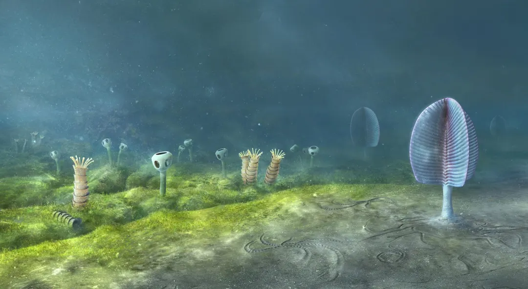 Animal History May Be 200 Million Years Longer Than Thought