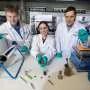 Water-based process turns wood byproduct into carbon nanofibers for sodium-ion batteries