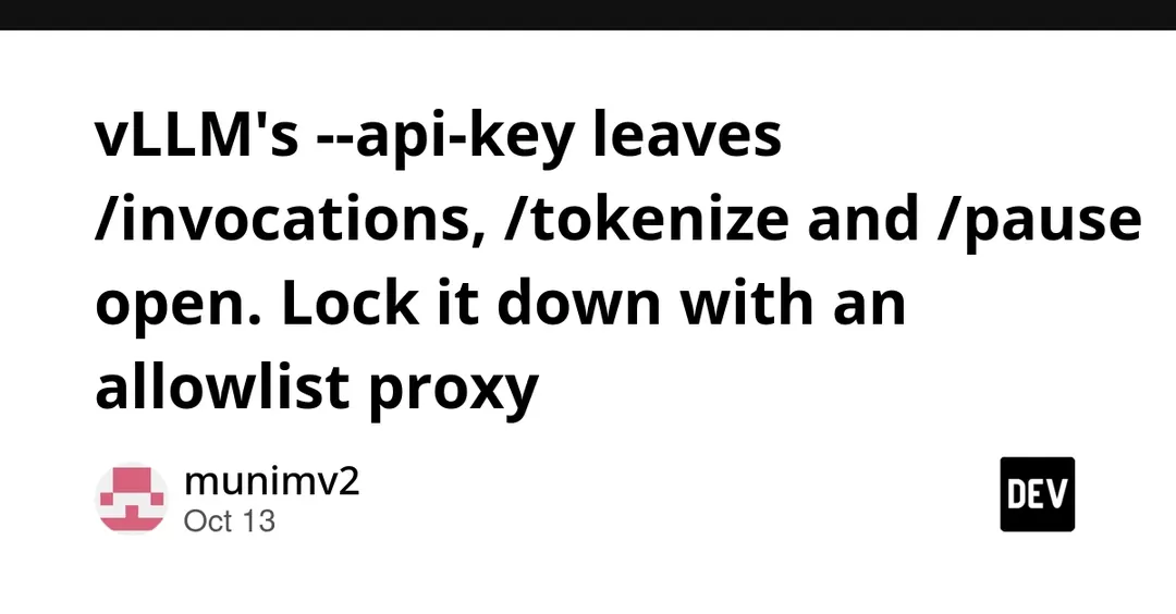 vLLM's --api-key leaves /invocations, /tokenize and /pause open