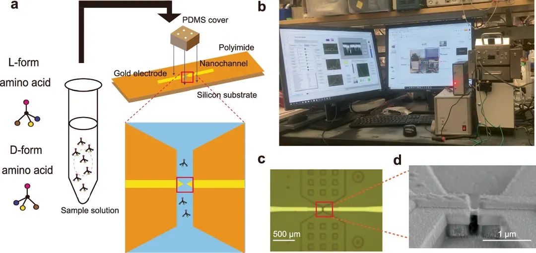 Gold nanogap sensor reads amino acid chirality for life detection