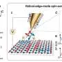 Topological STM tip reveals evidence of 2D altermagnetism