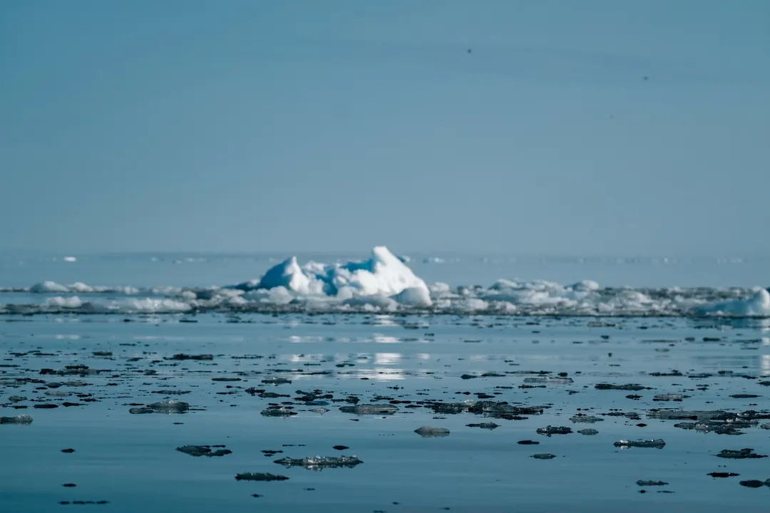 Marine Snow Viscosity Determines How Much Carbon Reaches Deep Ocean