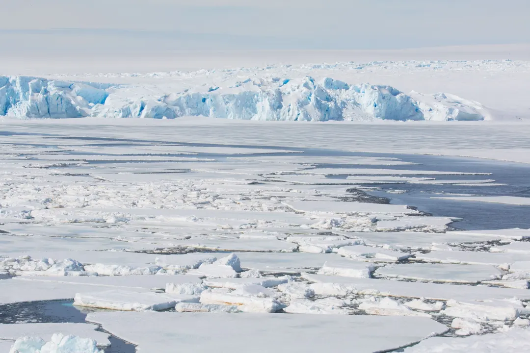Review: Polar Blue Carbon Has Zero Policy Value as 20% of Seas Go Uncounted