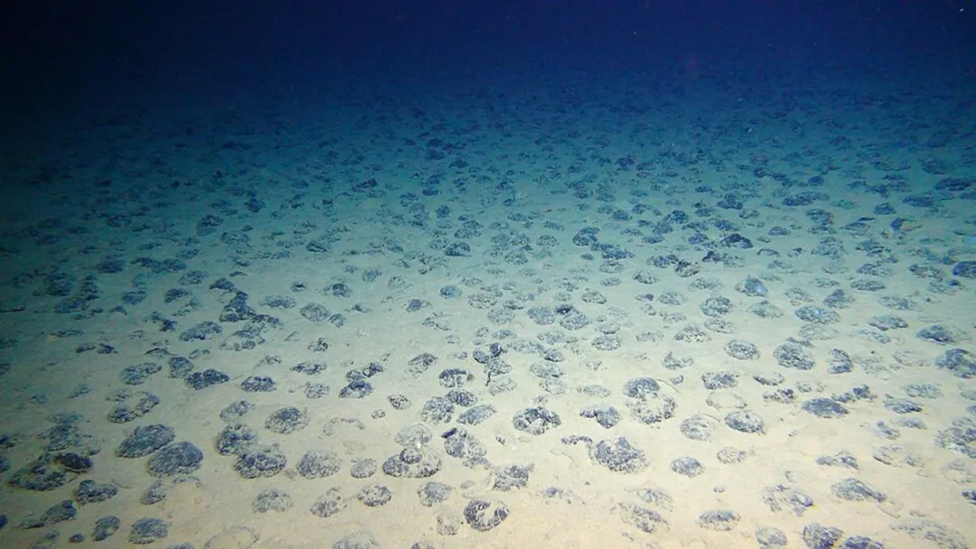 Nearly 12,000 new viruses found in Pacific deep-sea mining zone