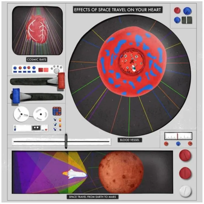 Deep space radiation damages the heart and immune system