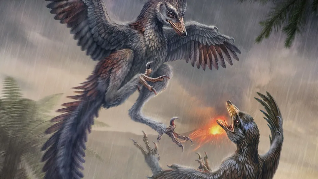 Flightless Jurassic bird was a carnivorous pheasant-like predator with killer claws