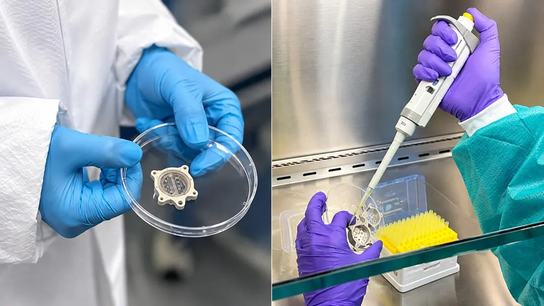 Mount Sinai Sends 16 Beating Heart Organoids to ISS to Study Aging
