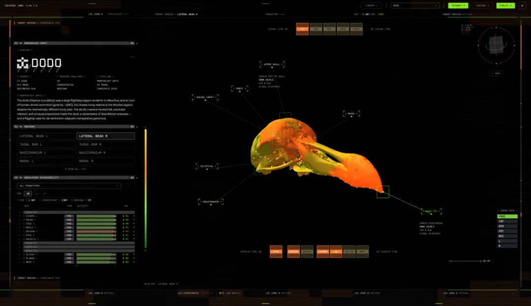 Colossal Biosciences unveils GenoMorph AI platform for de-extinction