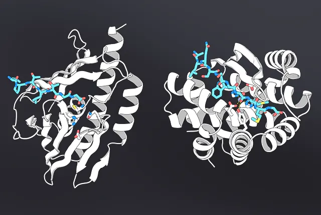 UW Nobel laureate's institute uses AI to design molecular scissors for disease proteins
