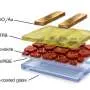 Chemical fine-tuning lifts perovskite LEDs to 37% efficiency