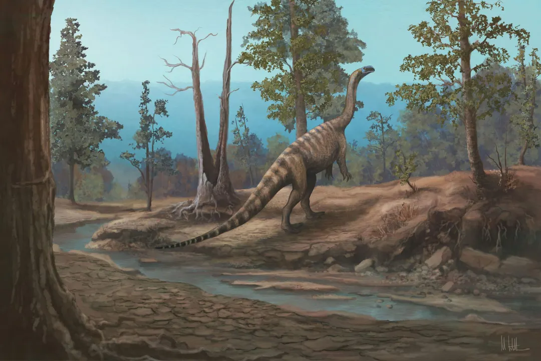 Zimbabwe's new dinosaur Musango was 4.5 meters long and unique to the region
