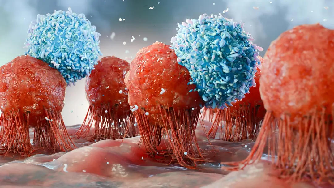 USC scientists find way to create renewable supply of cancer-fighting immune cells