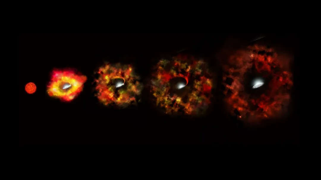 Neutrino Flavor Conversion Decides Whether a Massive Star Explodes or Becomes a Black Hole