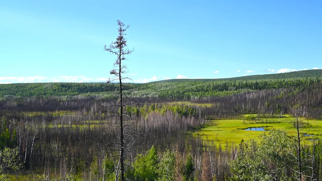 Archaeologists find oldest dwelling in Western Hemisphere at 13,800-year-old Alaska site
