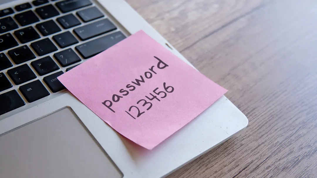 Hacker breached Danish national registry with password "123456"