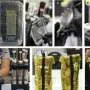 Plants shift gene activity within minutes of entering spaceflight