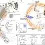 HKUST develops EmArm robotic arm with whole-arm tactile skin