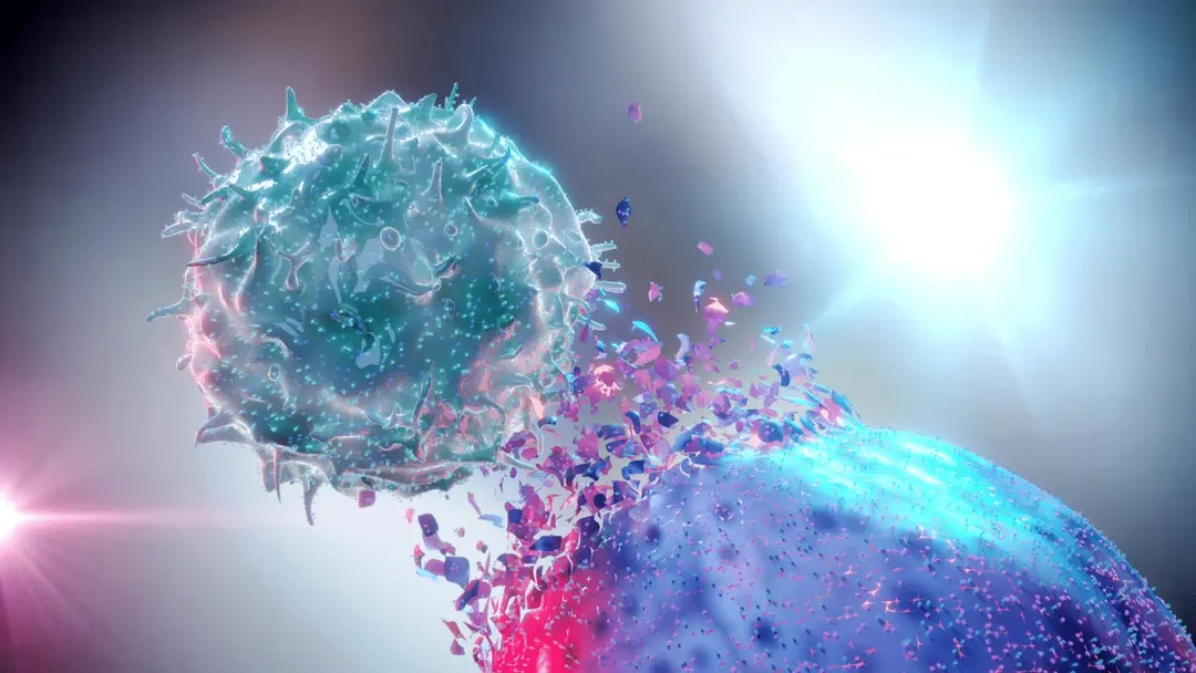 Cancer drug in human trials hits an unexpected target, study finds