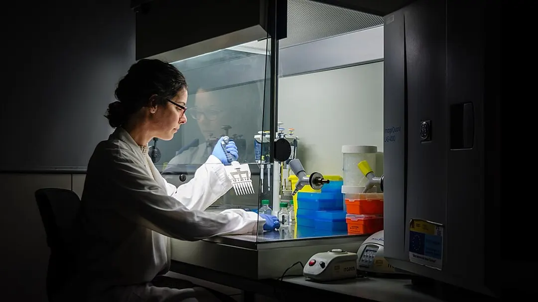 Platinum-nickel-ruthenium catalyst halves precious metal use in green hydrogen