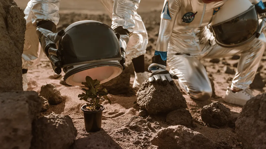 Scientists classify 2,000 Martian soil types for future crops