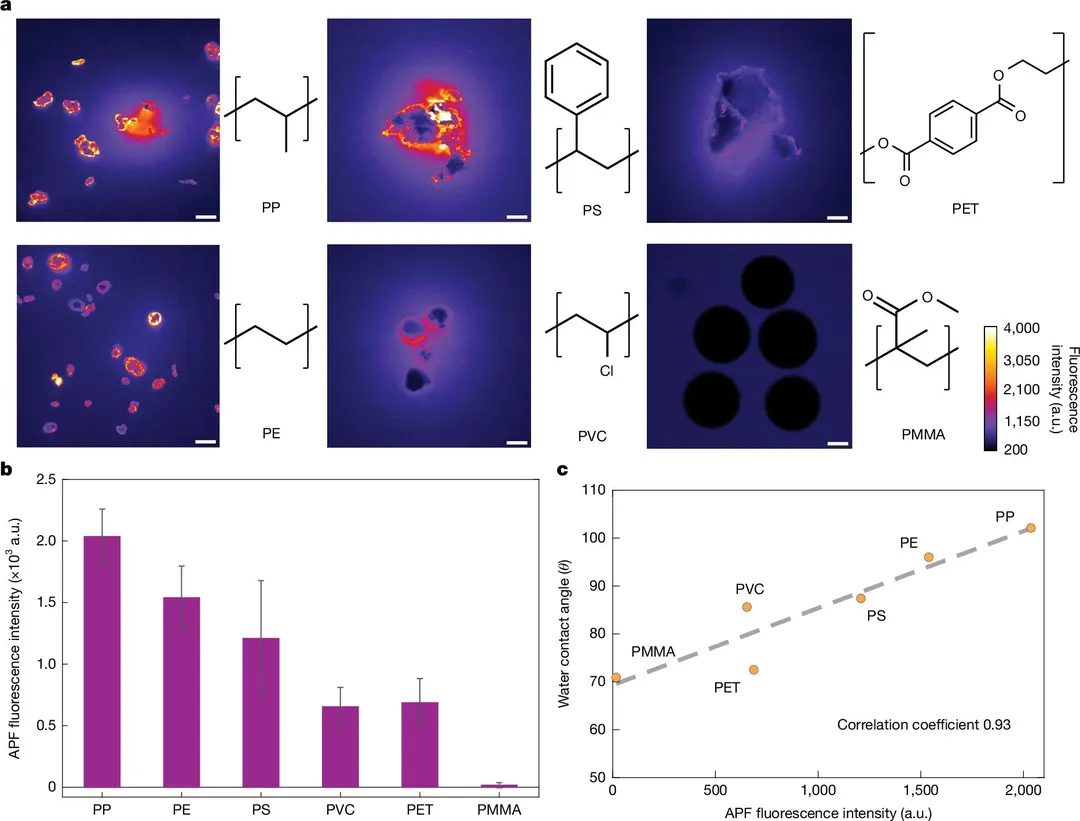Study finds plastics in water generate highly reactive radicals